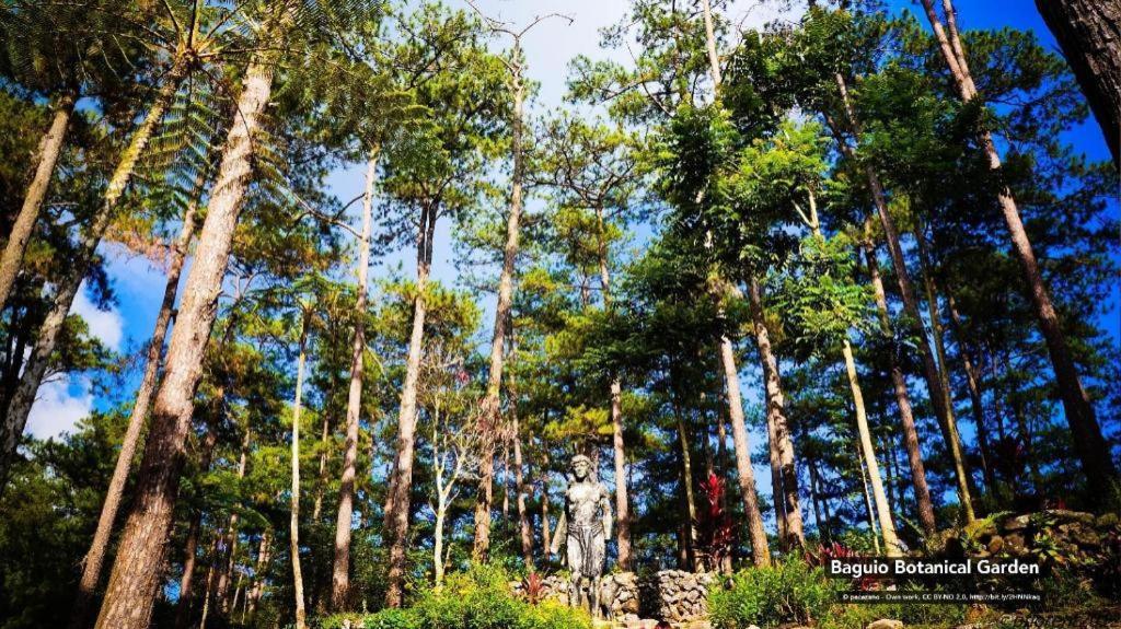 Zen Rooms Venus Parkview Baguio Baguio City Bagian luar foto